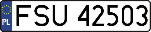 FSU42503
