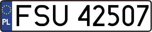FSU42507