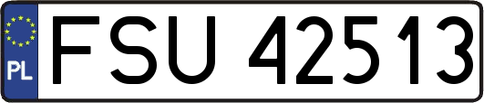 FSU42513