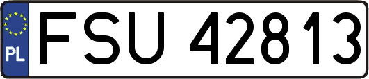 FSU42813