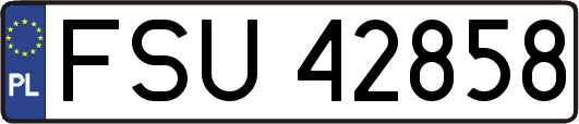 FSU42858