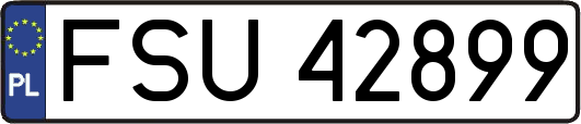 FSU42899