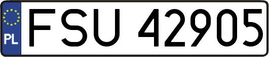 FSU42905