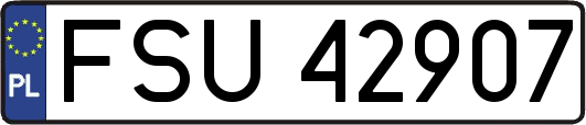 FSU42907
