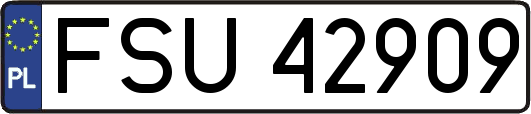 FSU42909