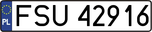 FSU42916