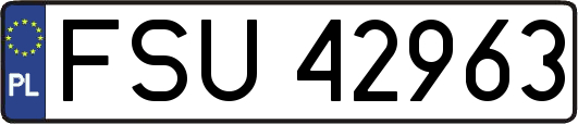 FSU42963