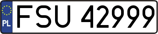 FSU42999