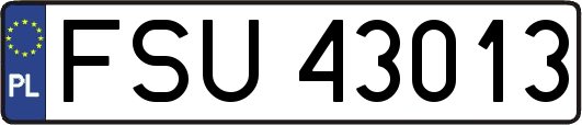 FSU43013
