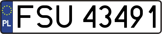 FSU43491