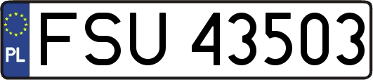 FSU43503