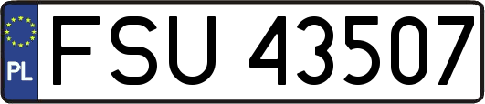 FSU43507