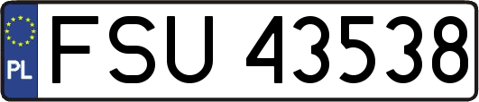 FSU43538