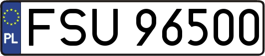 FSU96500