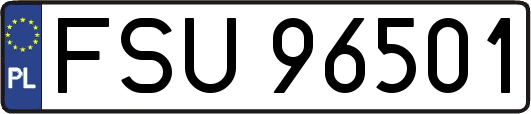 FSU96501