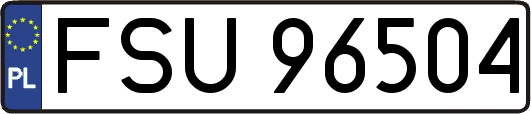 FSU96504