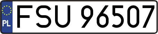 FSU96507