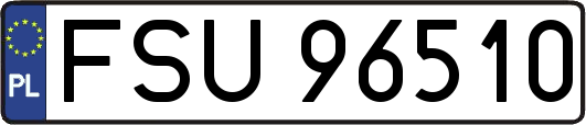 FSU96510