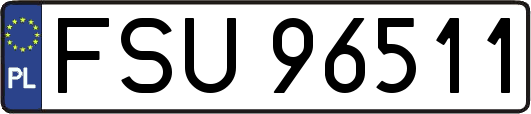 FSU96511