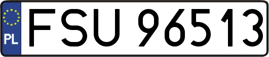 FSU96513