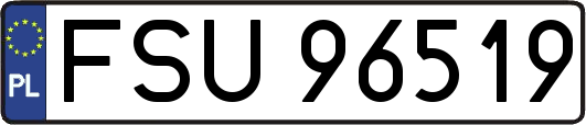 FSU96519