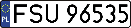 FSU96535