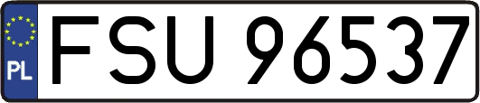 FSU96537
