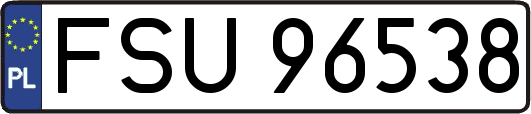 FSU96538