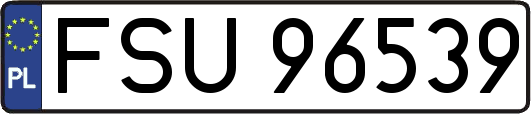 FSU96539