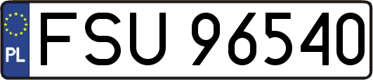 FSU96540