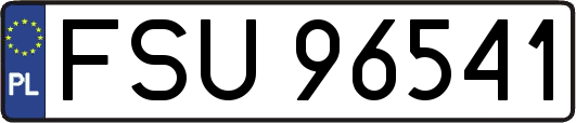 FSU96541