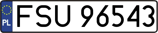 FSU96543