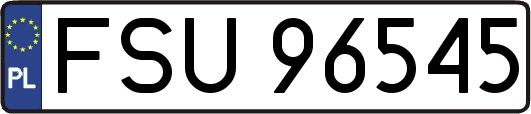 FSU96545