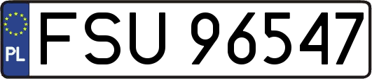 FSU96547
