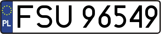 FSU96549