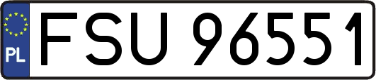 FSU96551
