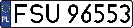 FSU96553