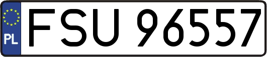 FSU96557