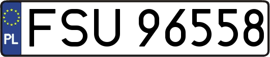 FSU96558
