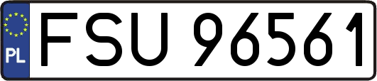 FSU96561