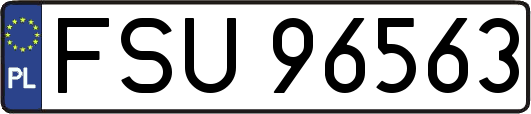 FSU96563