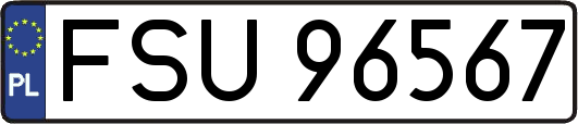 FSU96567