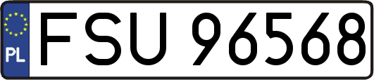 FSU96568