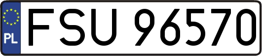 FSU96570