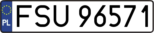 FSU96571