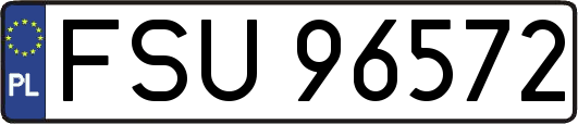 FSU96572