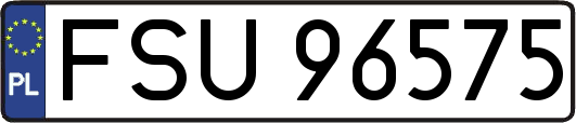 FSU96575
