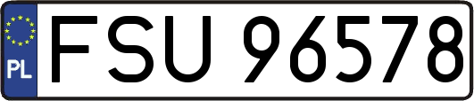 FSU96578