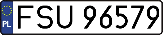 FSU96579