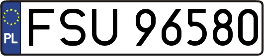 FSU96580